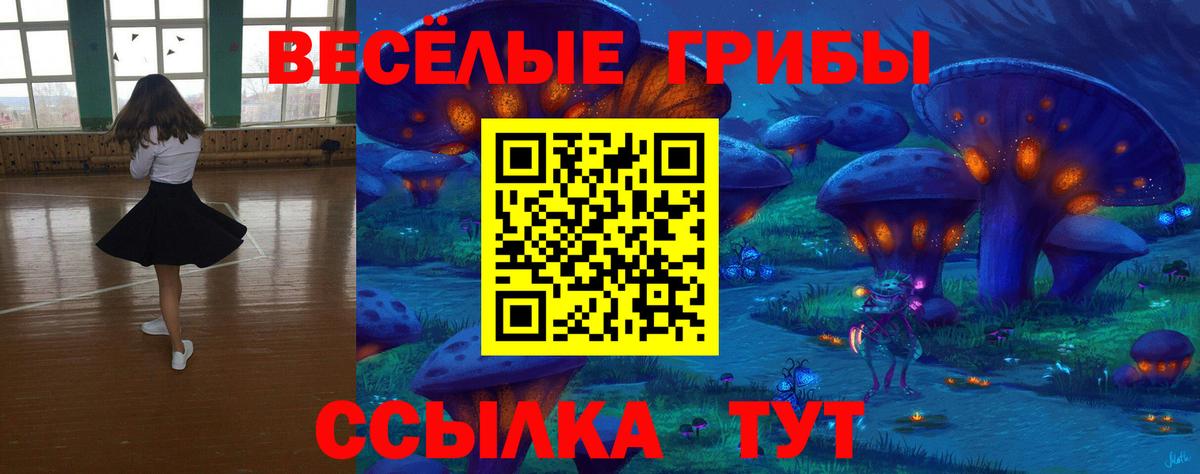Псилоцибиновые грибы Cubensis  Вход с VPN  Калуга 