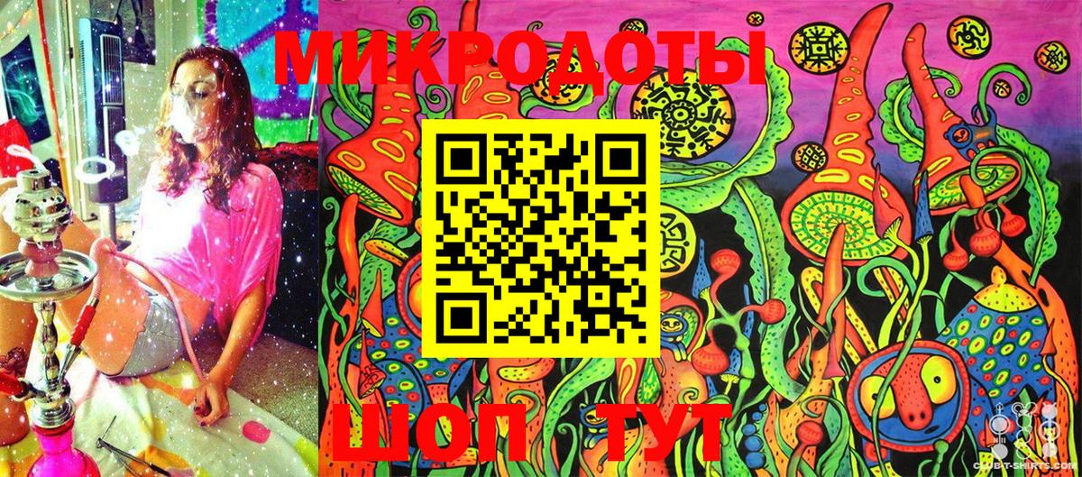 Галлюциногенные грибы Psilocybine cubensis Калуга